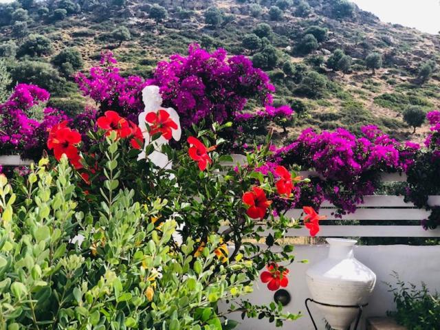 Apartament La Bastide Skyros Zewnętrze zdjęcie