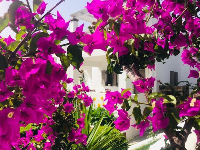 Apartament La Bastide Skyros Zewnętrze zdjęcie