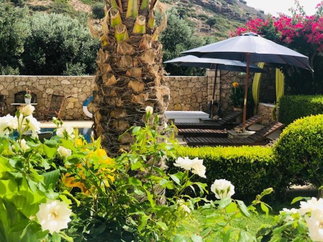 Apartament La Bastide Skyros Zewnętrze zdjęcie