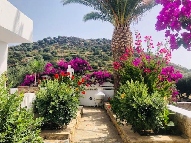 Apartament La Bastide Skyros Zewnętrze zdjęcie